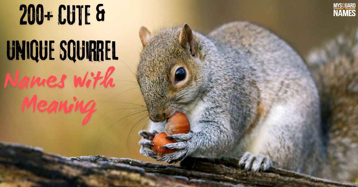 200+ Cute & Unique Squirrel Names with Meaning