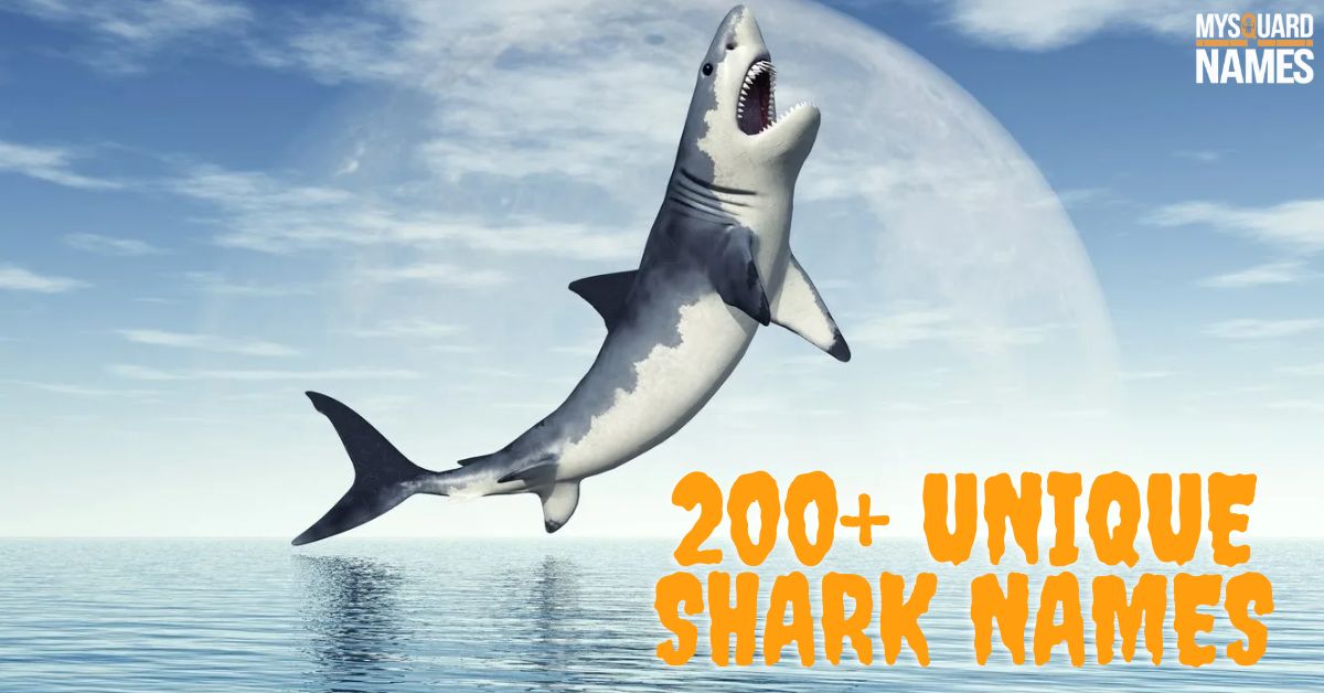 200+ Unique Shark Names Find the Perfect Fit for Your Finned Friend