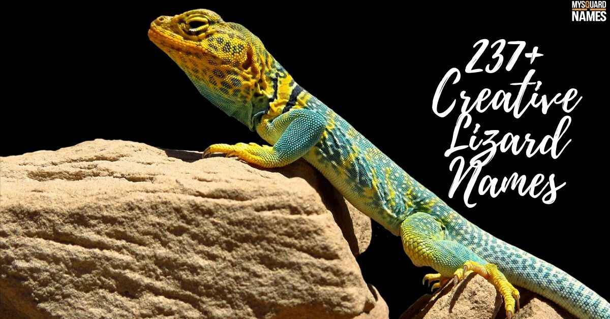 237+ Creative Lizard Names + AI Generator with Meanings