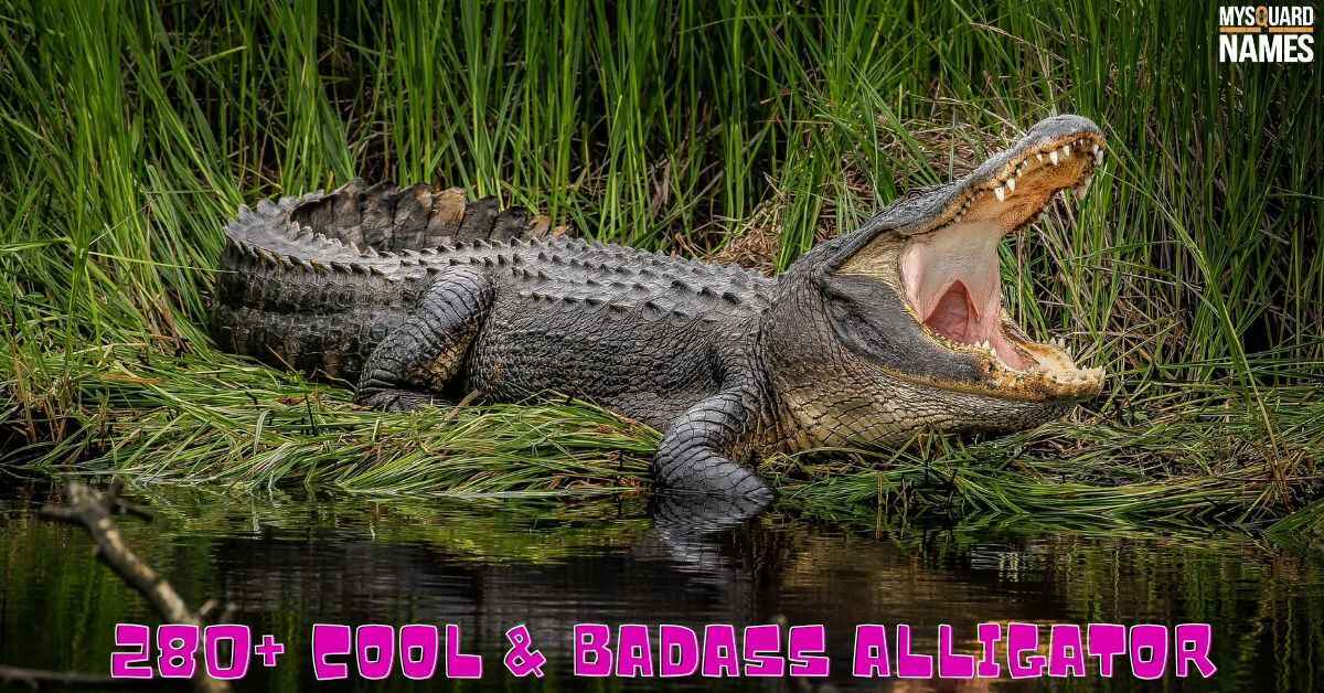 280+ Cool & Badass Alligator Names With Meanings