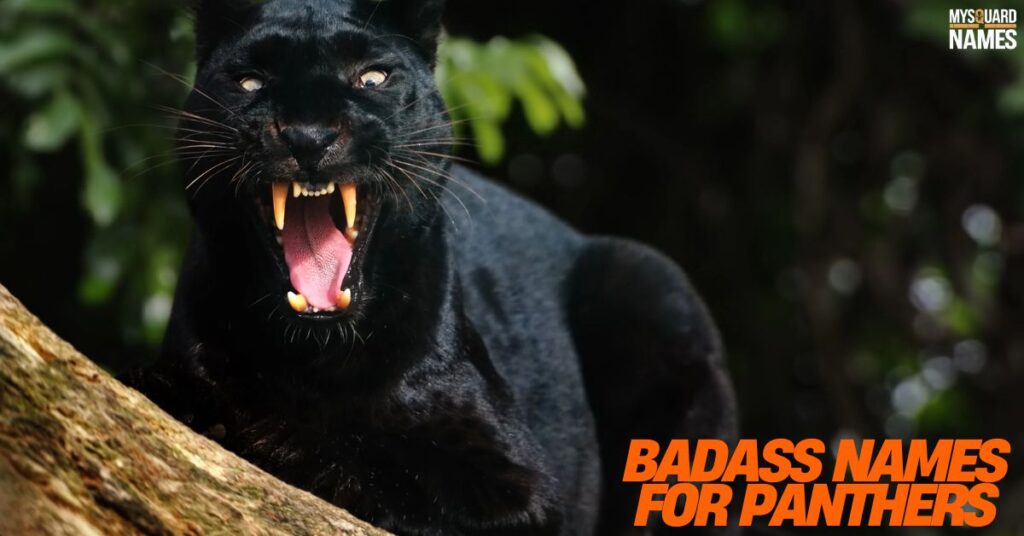 Badass Names for Panthers