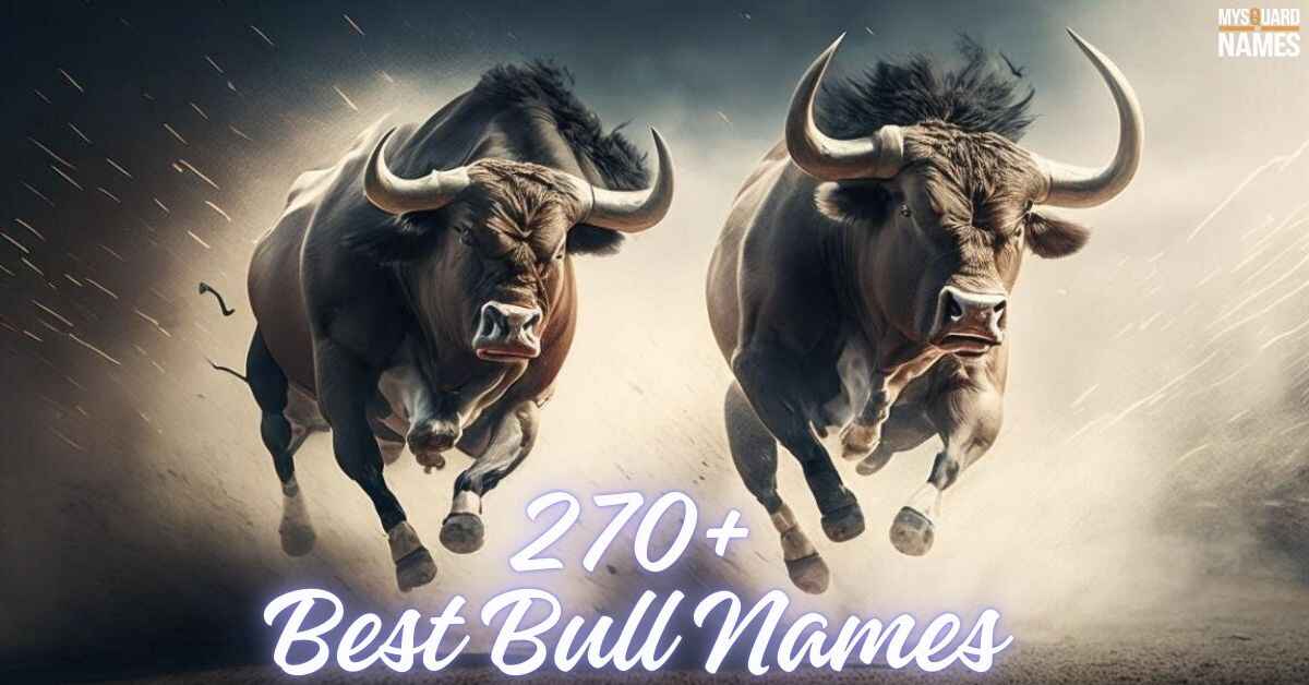 Best Bull Names Generator [270+ Meaningful Ideas]