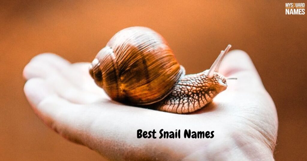  Snail-Names