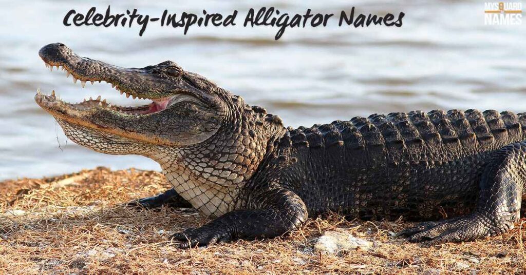 Celebrity-Inspired Alligator Names