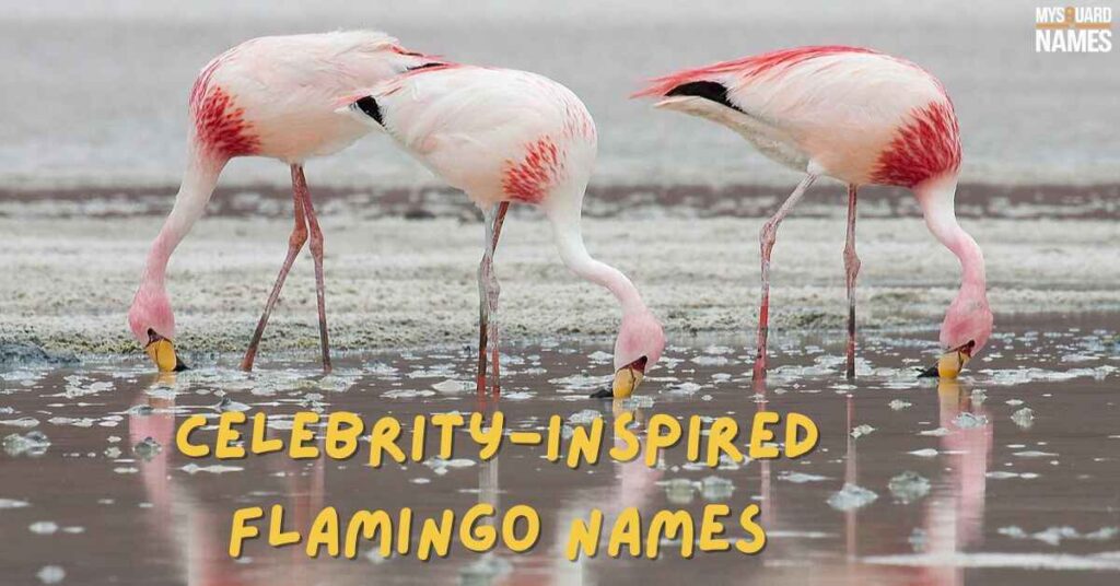 Celebrity-Inspired Flamingo Names