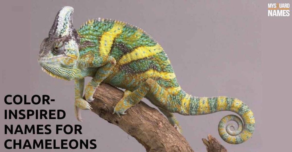 Color-Inspired Names for Chameleons