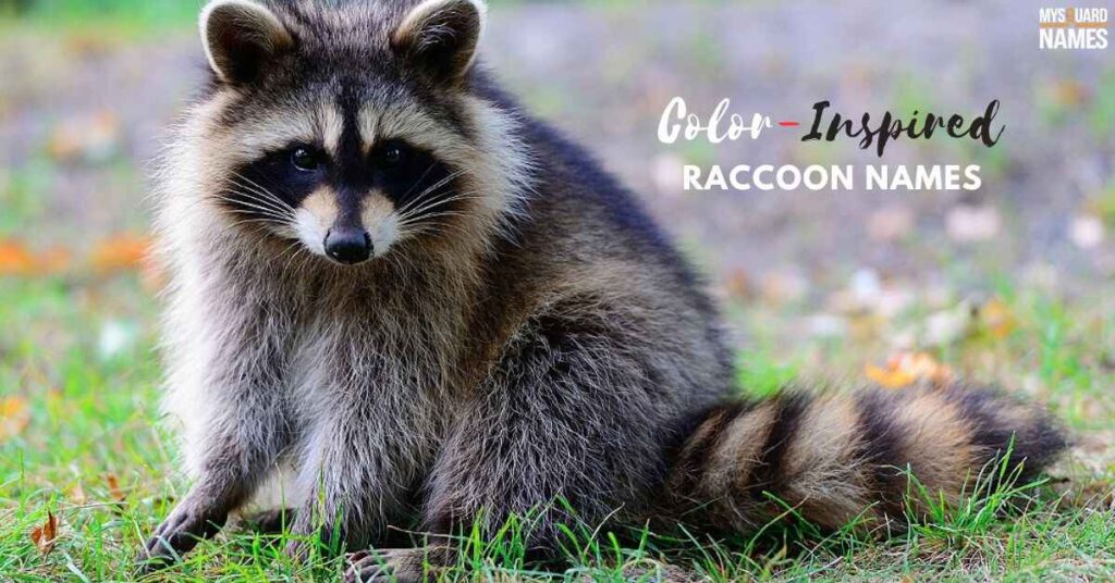 Cute -Cool-Raccoon-Names 