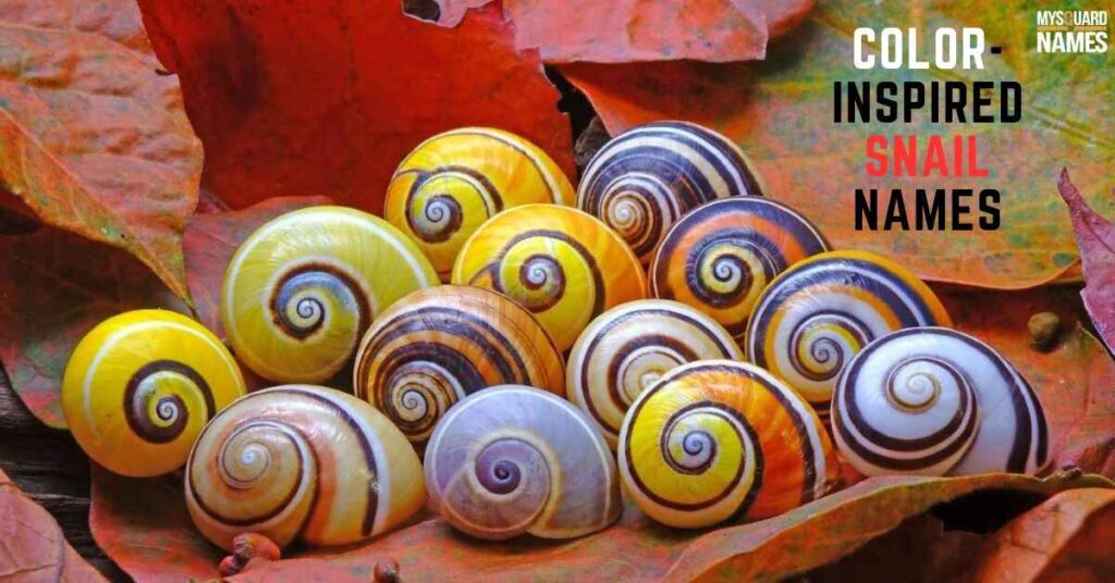 Color-Inspired Snail Names