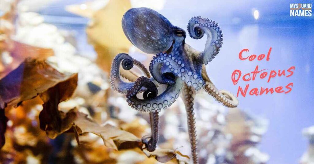 Cool Octopus Names