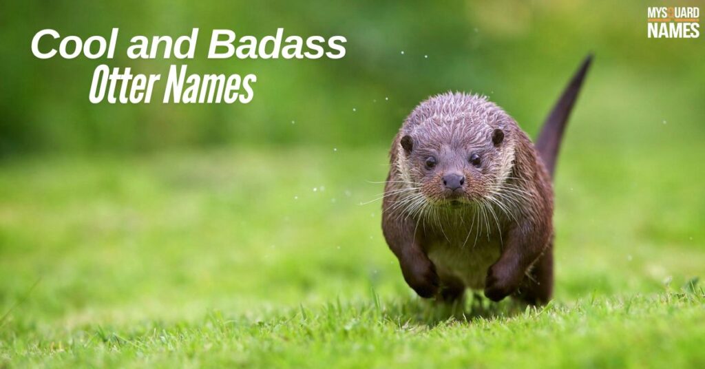 Cool and Badass Otter Names