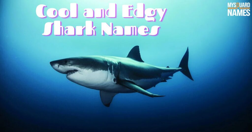 Cool and Edgy Shark Names