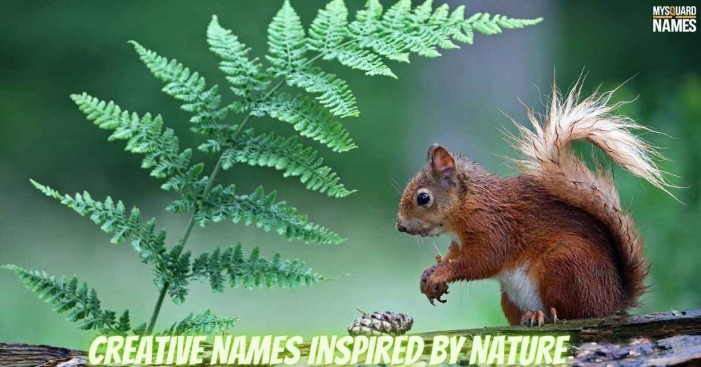 Creative Names Inspired by Nature