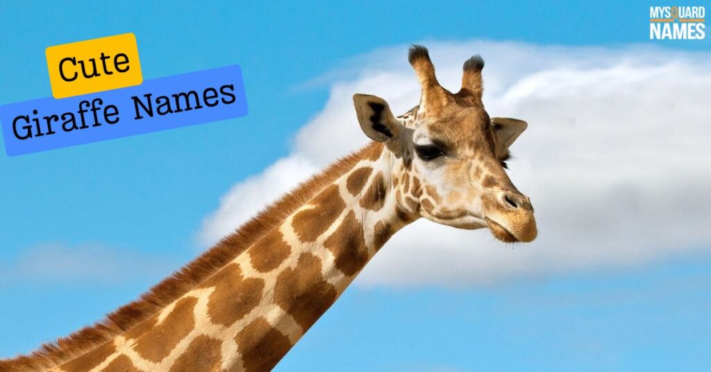 Cute Giraffe Names