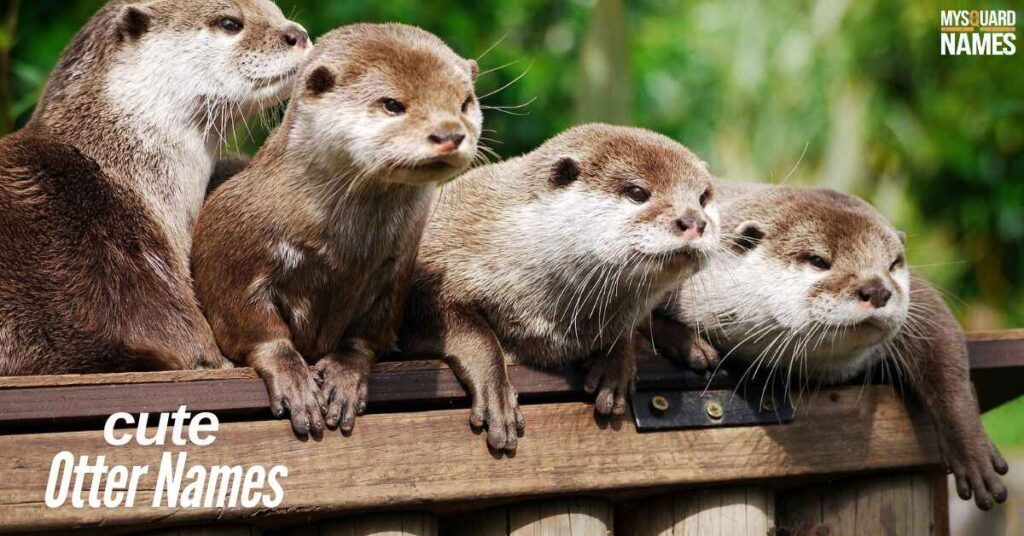 Cute Otter Names