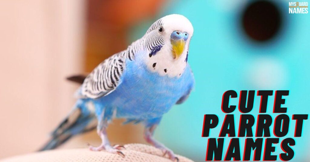  Parrot-Names 