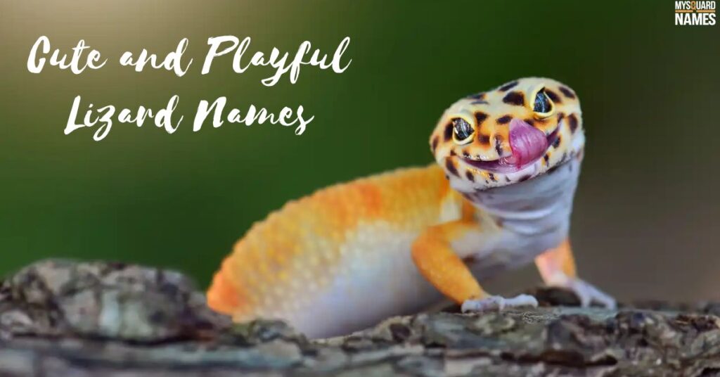 Cute and Playful Lizard Names