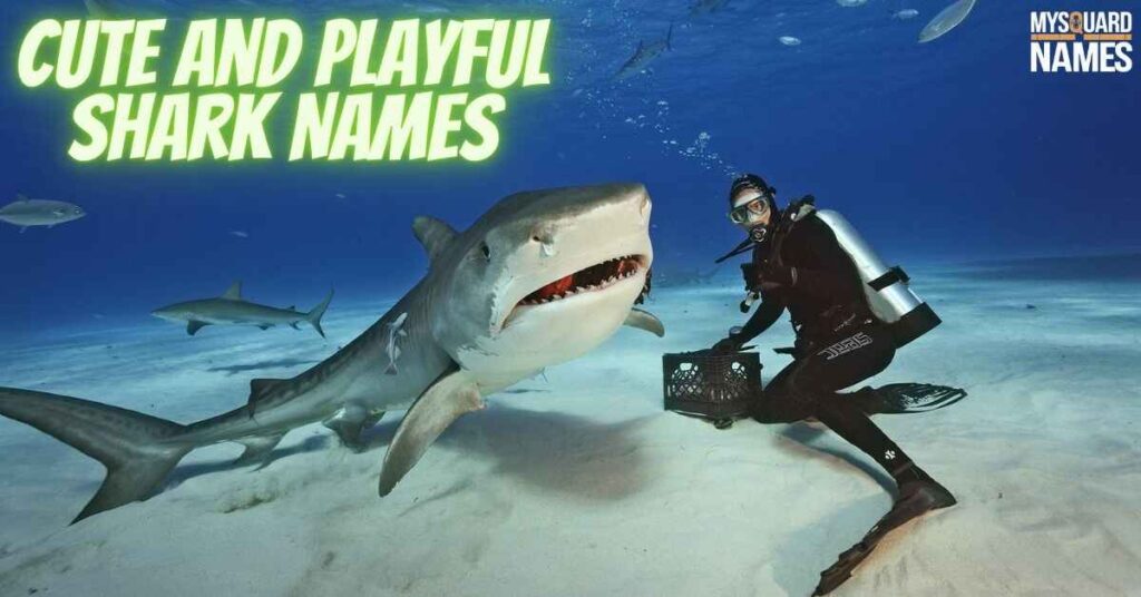 Cute and Playful Shark Names