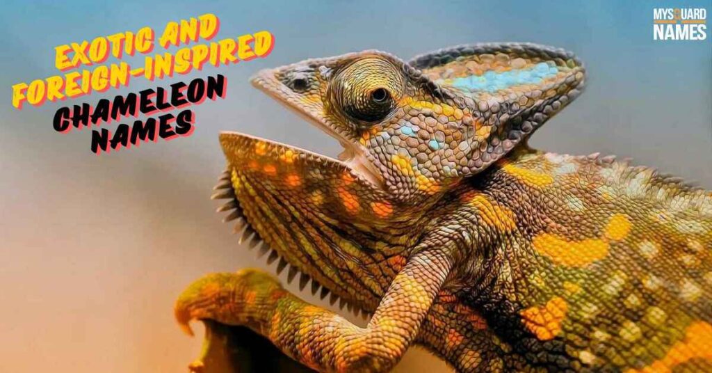 Exotic and Foreign-Inspired Chameleon Names