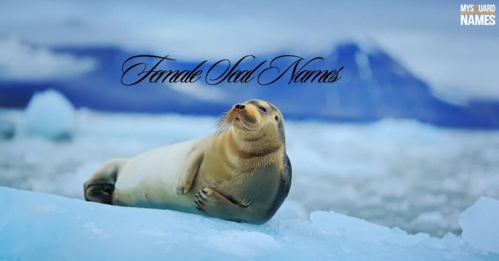 Female Seal Names