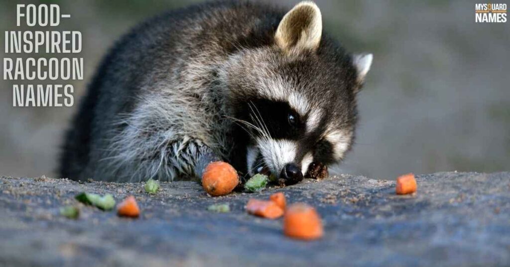 Food Inspired Raccoon Names