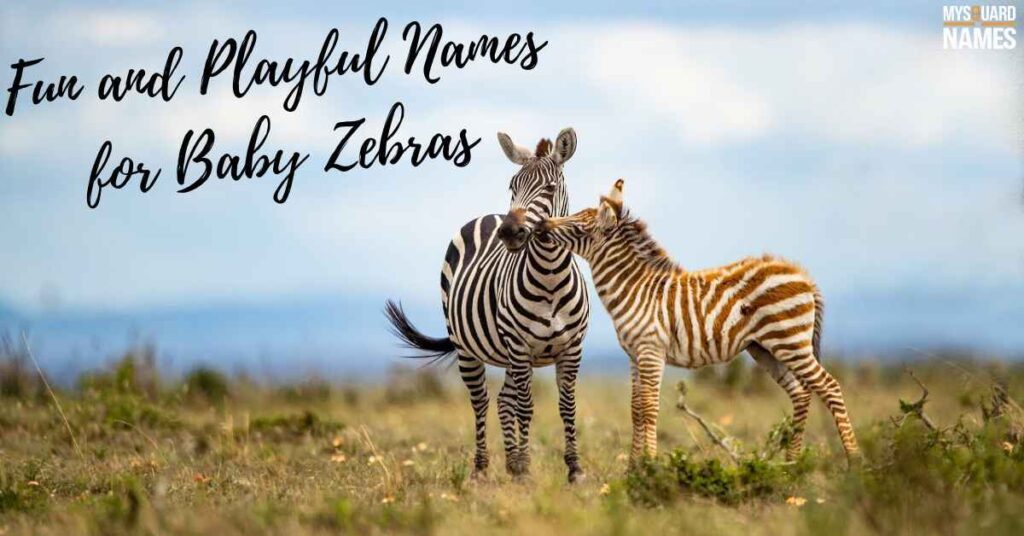 Fun and Playful Names for Baby Zebras