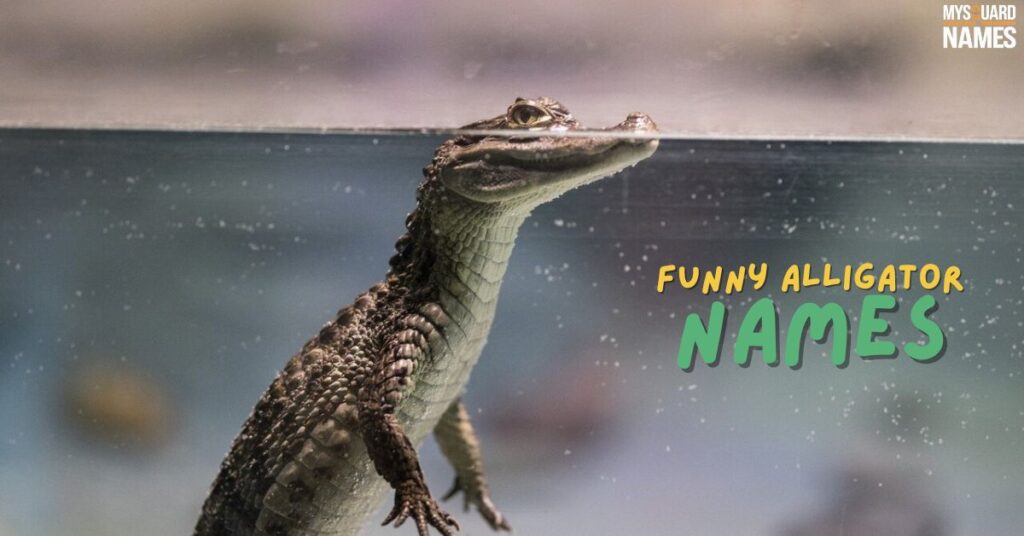 Funny Alligator Names