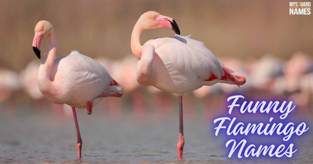 Funny Flamingo Names