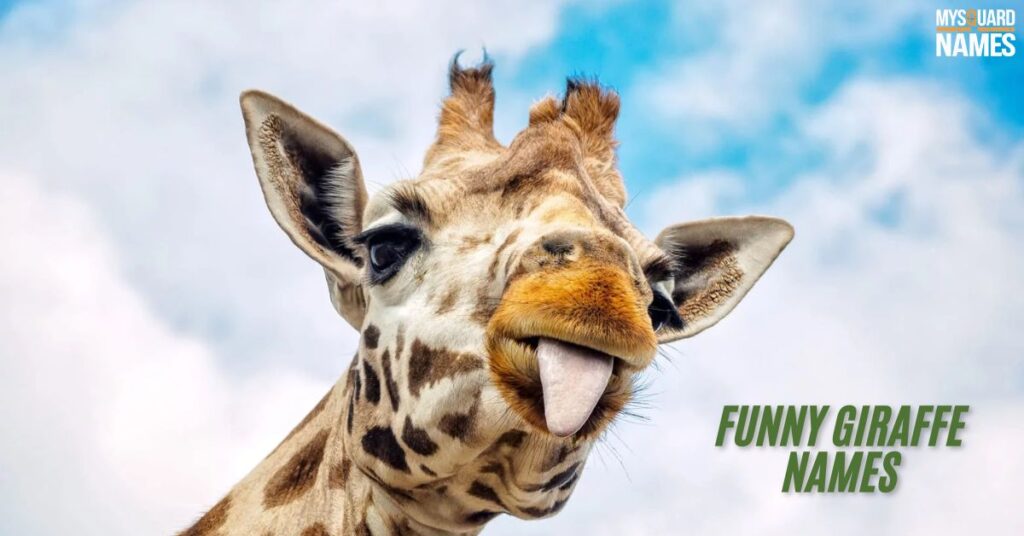 Funny-Giraffe 