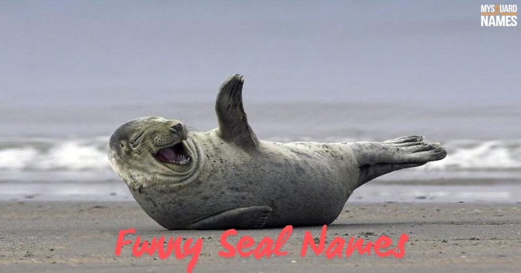 Funny Seal Names