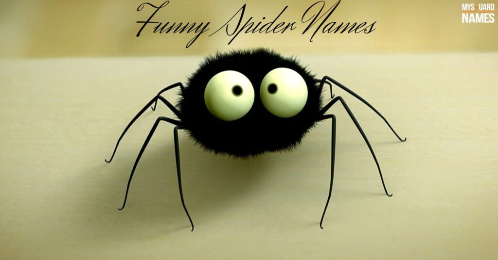 Funny Spider Names