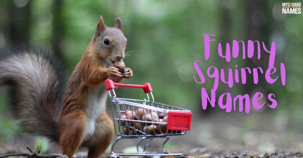 Funny Squirrel Names