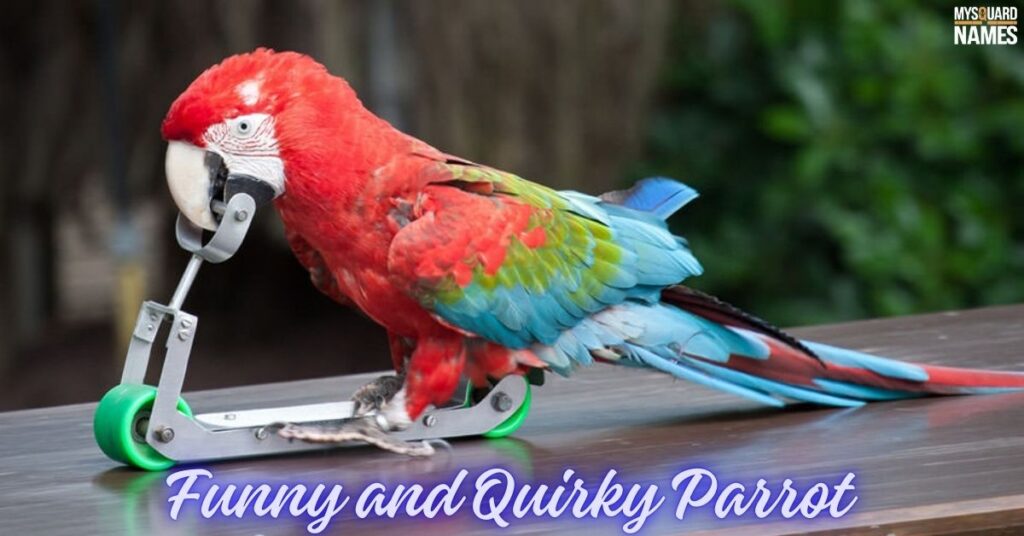 Funny and Quirky Parrot Names with Meanings