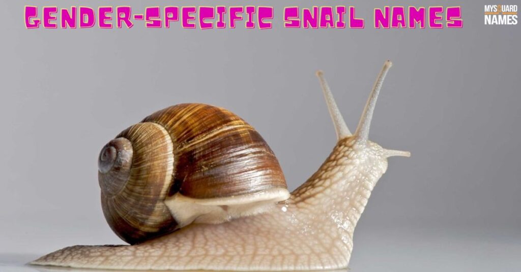 Gender-Specific Snail Names