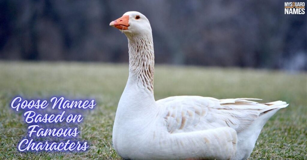 Goose Names Based on Famous Characters