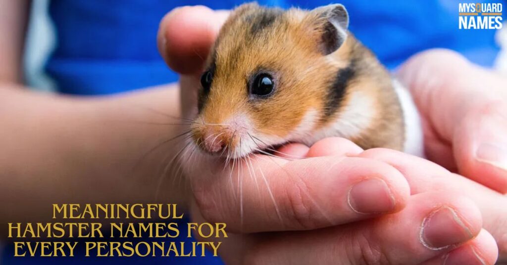 Meaningful Hamster Names for Every Personality