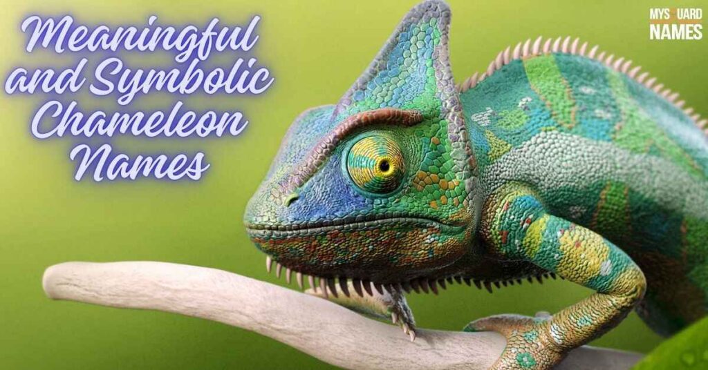 Meaningful and Symbolic Chameleon Names