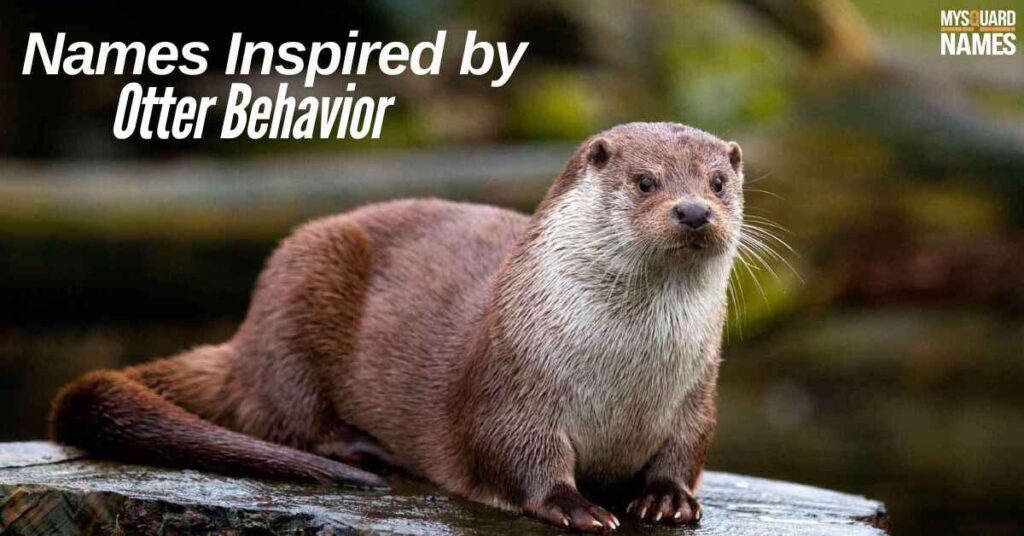 Names Inspired by Otter Behavior