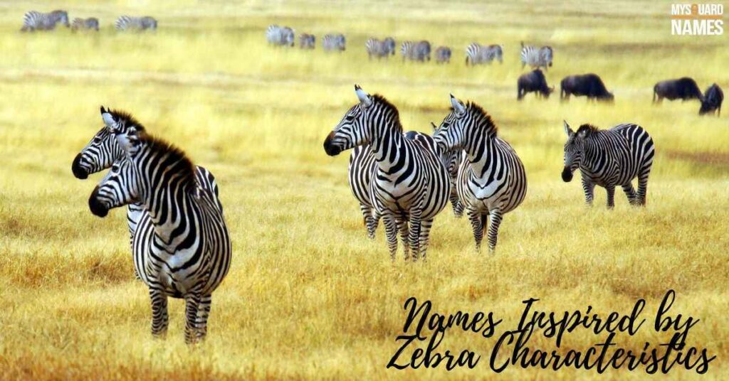 Names Inspired by Zebra Characteristics