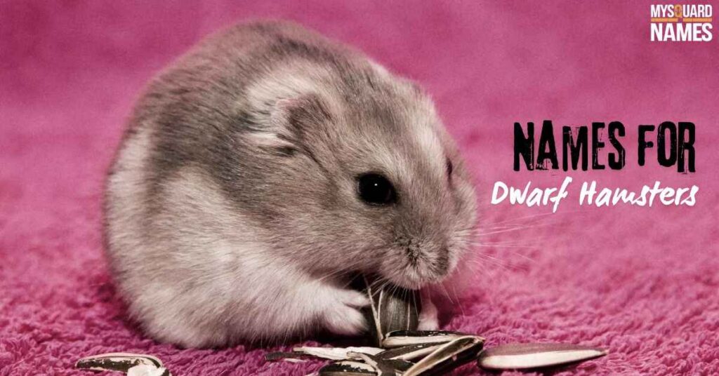 Names for Dwarf Hamsters