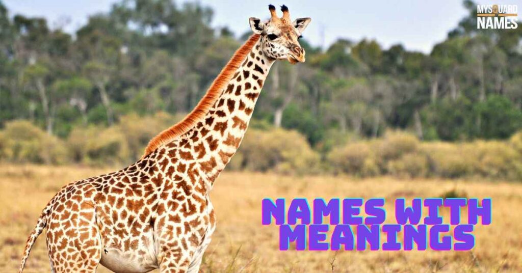 Names with Meanings