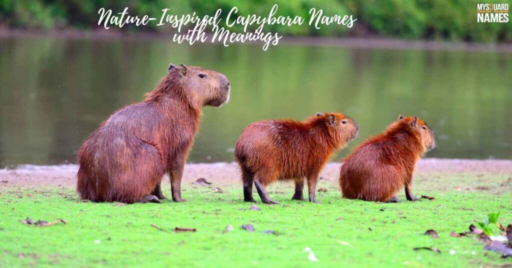 Nature-Inspired Capybara Names with Meanings