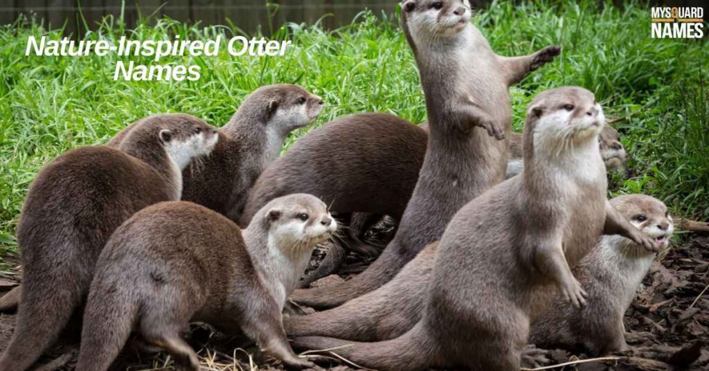 Nature-Inspired Otter Names