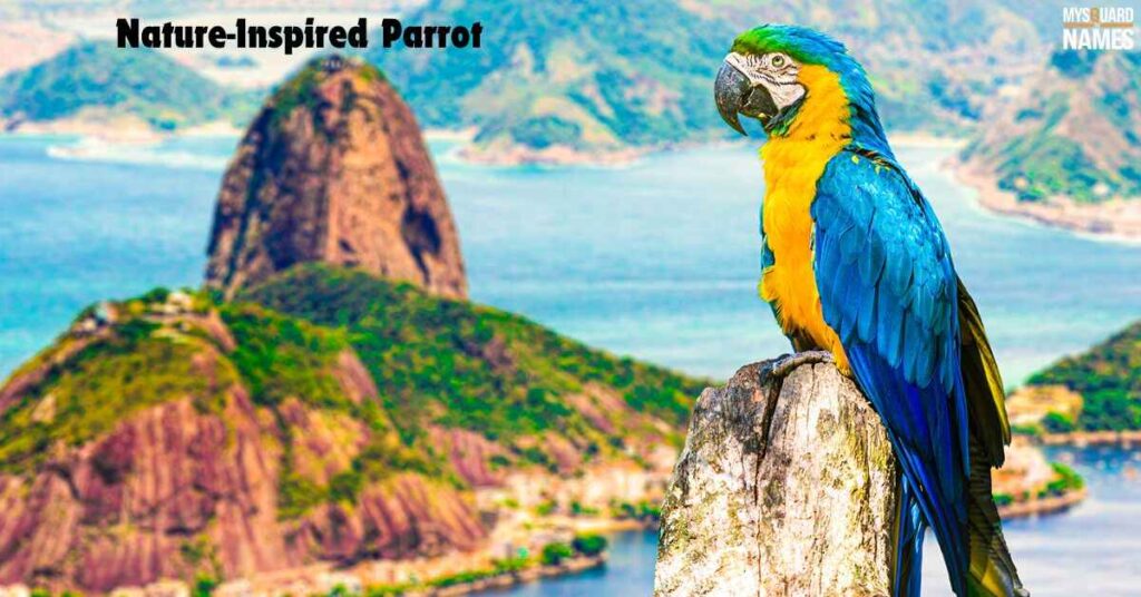 Nature-Inspired Parrot Names with Meanings