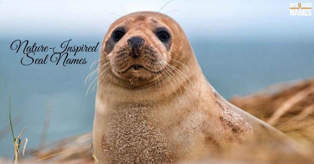 Nature-Inspired Seal Names