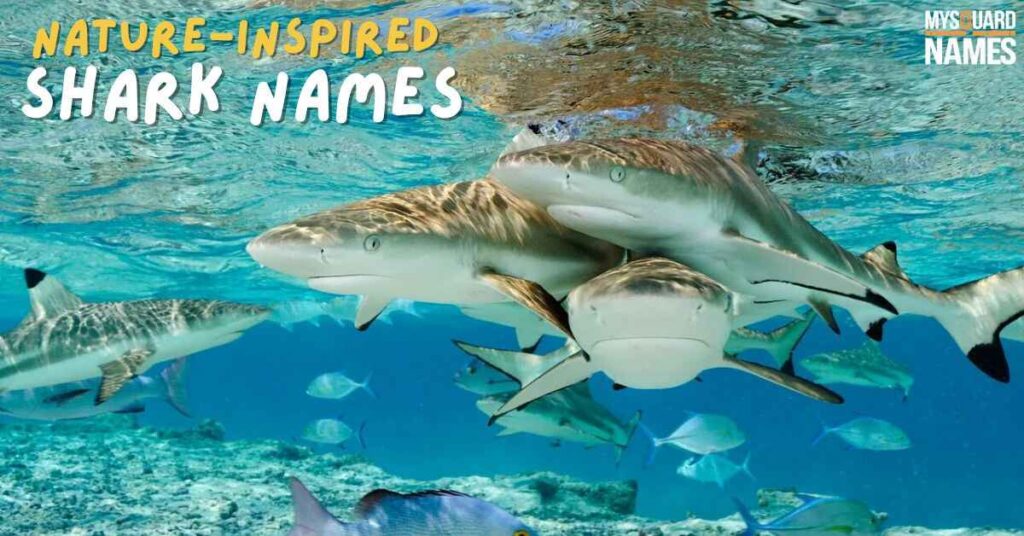 Nature-Inspired Shark Names