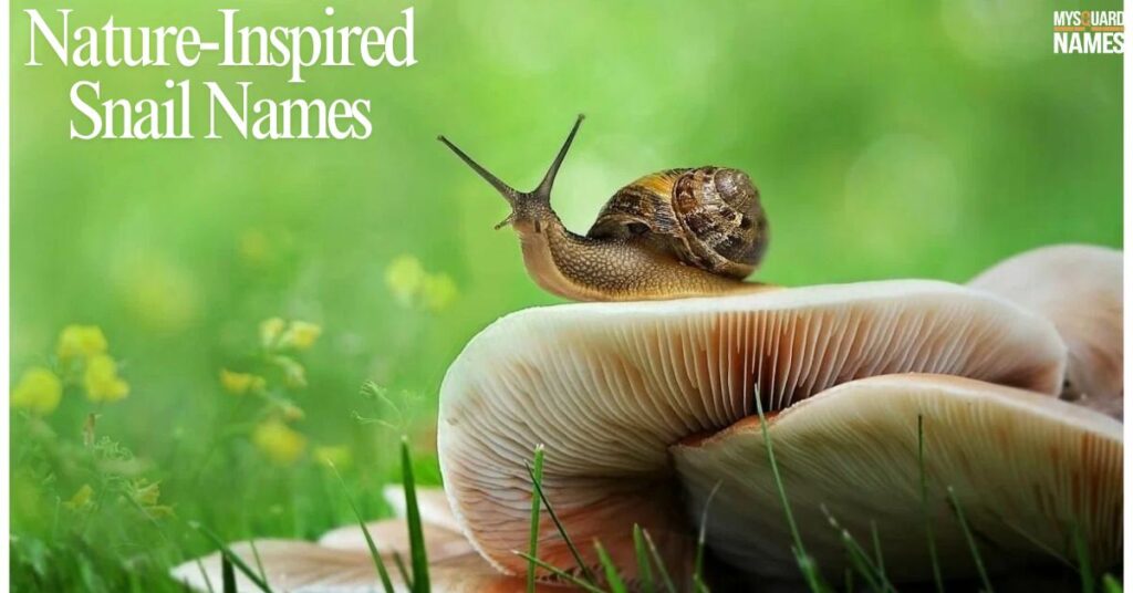 Nature-Inspired Snail Names