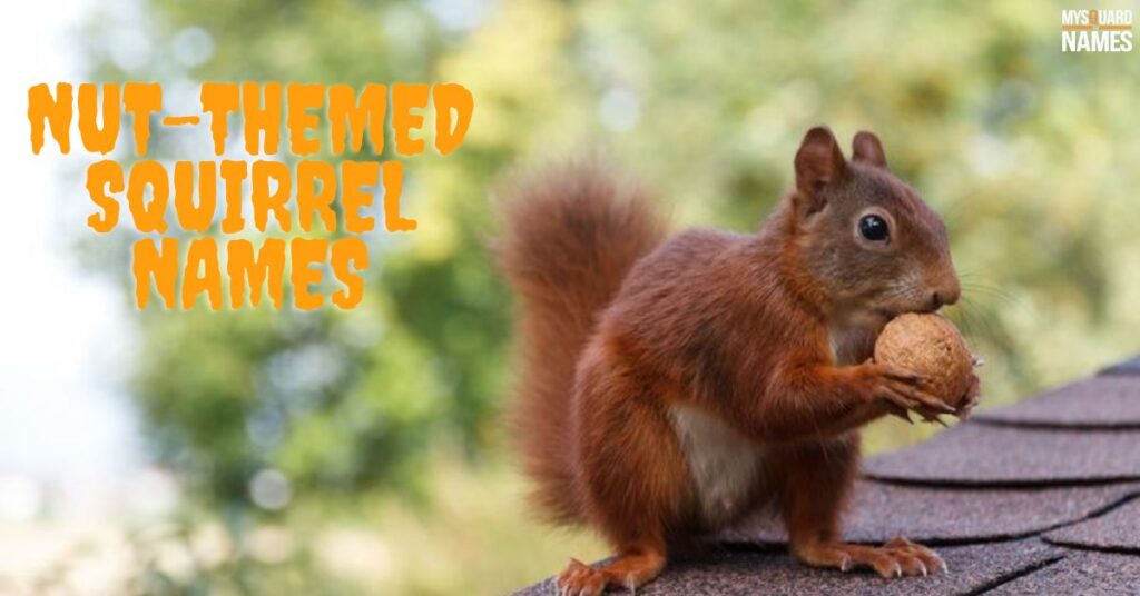 Nut-Themed Squirrel Names