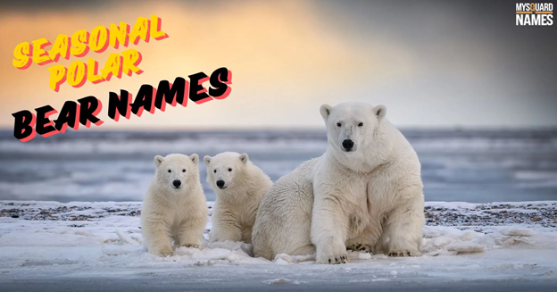 Seasonal Polar Bear Names