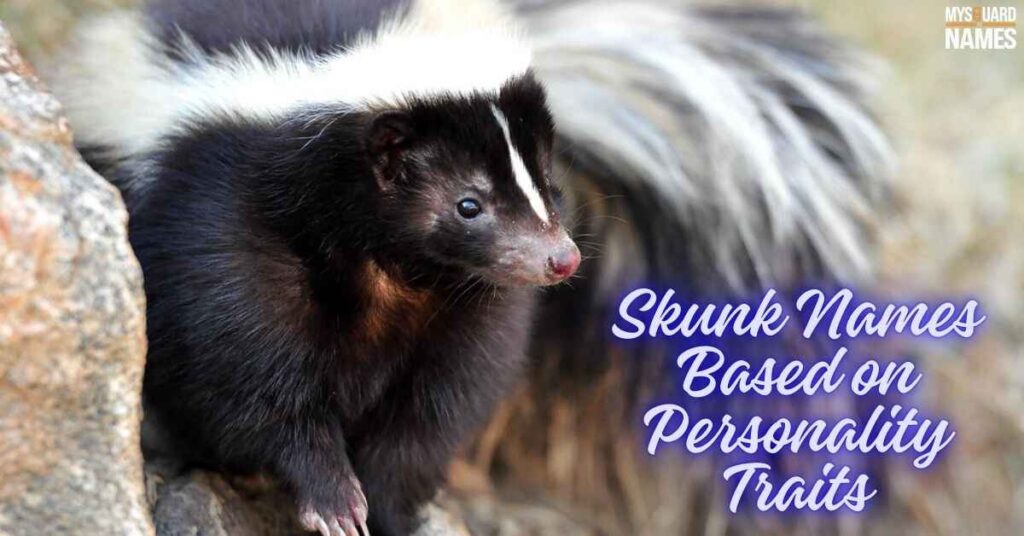 Skunk Names Based on Personality Traits