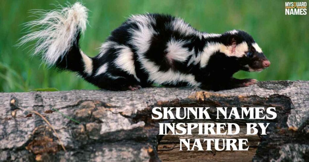 Skunk Names Inspired by Nature